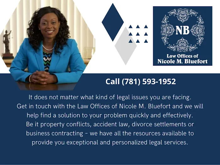 Law Offices Of Nicole M. Bluefort Picture 8