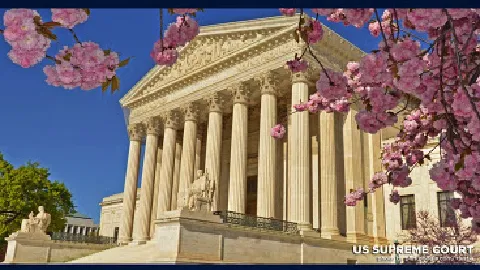 DelSignore Law Picture 8