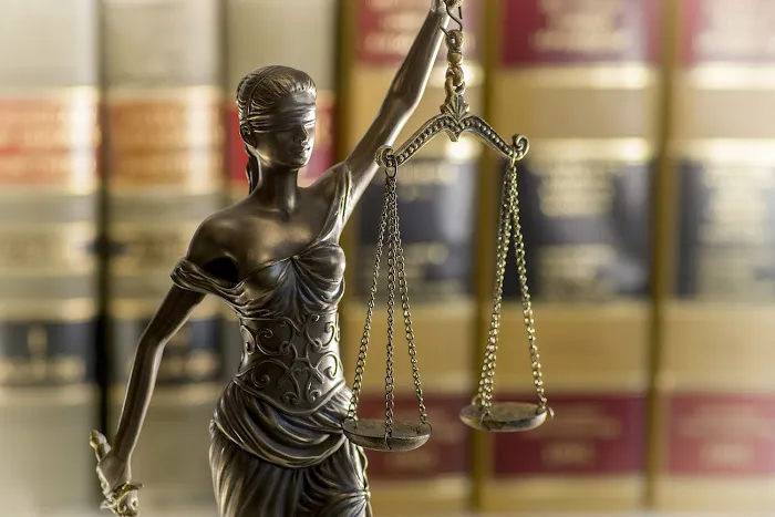 Toland Law Picture 4