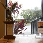 Dolman Law Group Accident Injury Lawyers, PA - Boston