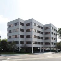 Attorney Diane Shields ico