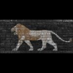 Law Offices of Jonas Jacobson