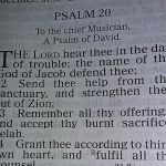 Law Office of Michael L. Rich