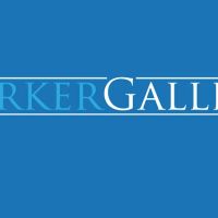 Parker Gallini LLP ico