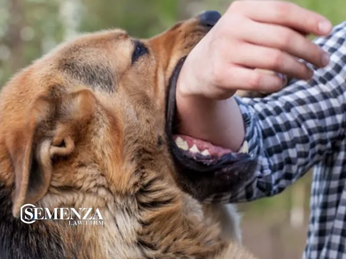 Semenza Law Firm Picture 3