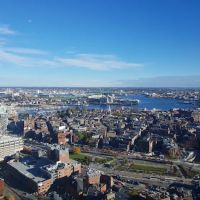 McDermott Quilty Miller & Hanley LLP ico