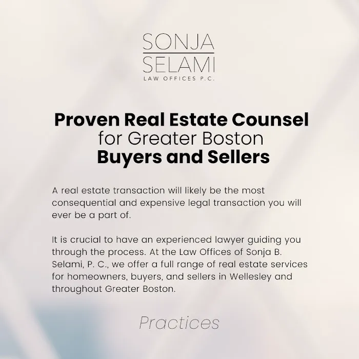 Law Offices of Sonja B Selami PC Picture 7