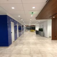 Parker Scheer LLP ico