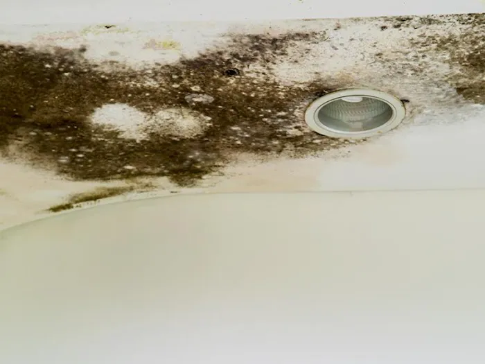 Public Adjuster in Cape Coral - Alconero & Associates Picture 8