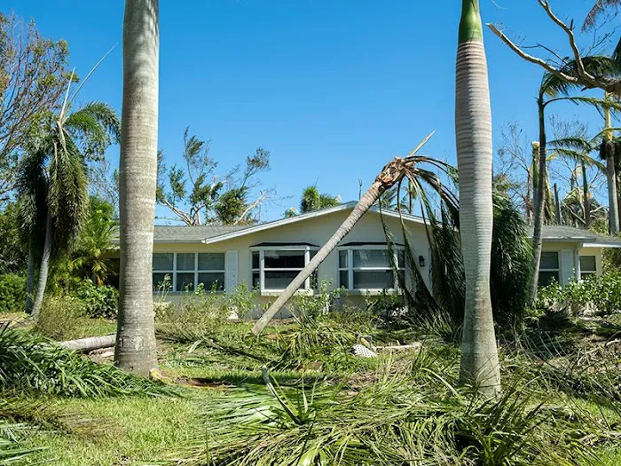 Public Adjuster in Cape Coral - Alconero & Associates Picture 1