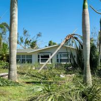 Public Adjuster in Cape Coral - Alconero & Associates ico