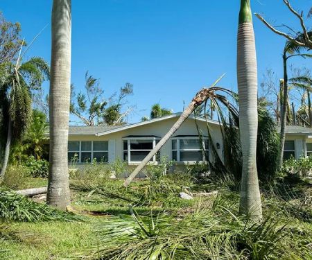Public Adjuster in Cape Coral - Alconero & Associates