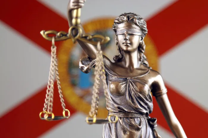 Ian F. Mann, P.A. Family Law & Criminal Defense Attorney Picture 6