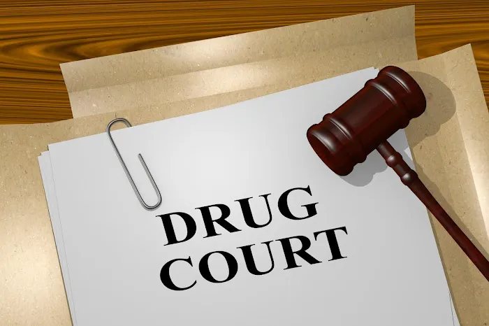 Ian F. Mann, P.A. Family Law & Criminal Defense Attorney Picture 2