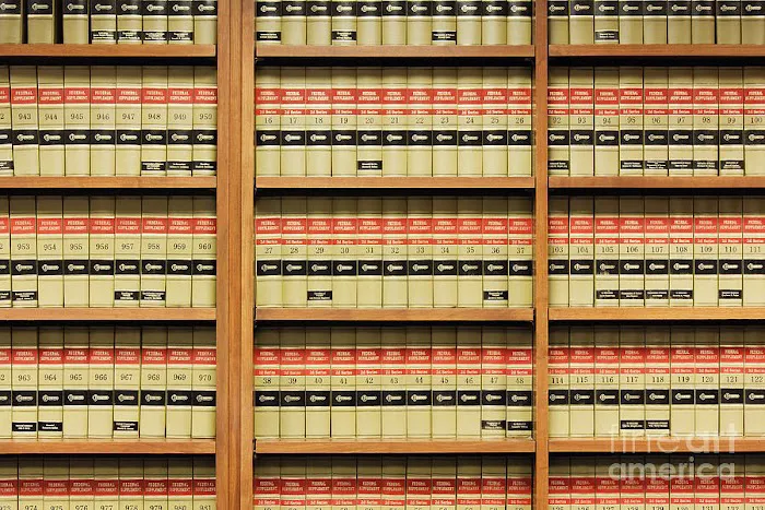 The Law Offices of Robert David Malove Picture 10