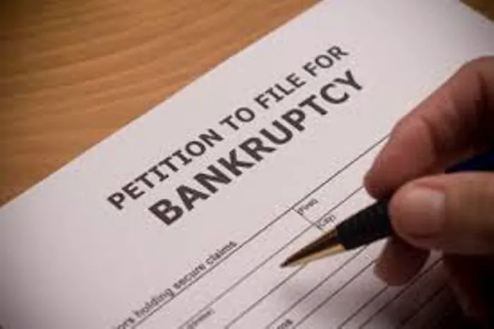 Bankruptcy Bodyguard Picture 4
