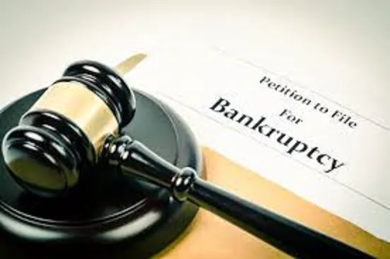 Bankruptcy Bodyguard Picture 2