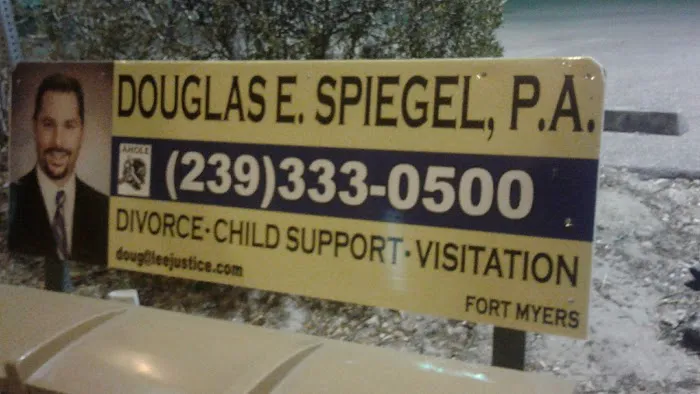 Douglas E. Spiegel Picture 2