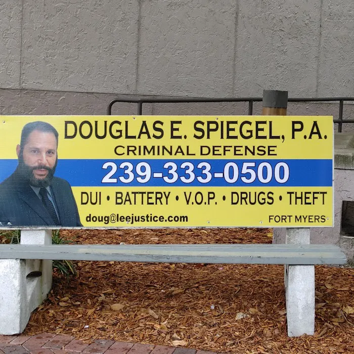 Douglas E. Spiegel Picture 1