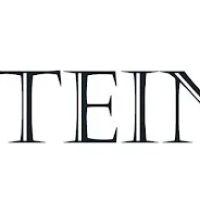 SteinLaw ico