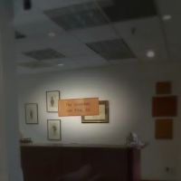 Goodman Law Firm PA ico
