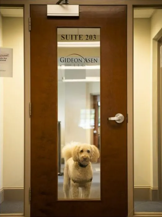 Gideon Asen LLC Picture 2