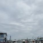 Daniel G Lilley Law Offices