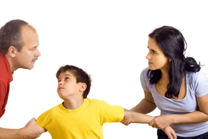 Law Office of Lisé L. Edwards - Divorce Lawyers, Family Law Attorney, Child Custody, Fathers Rights Picture 8