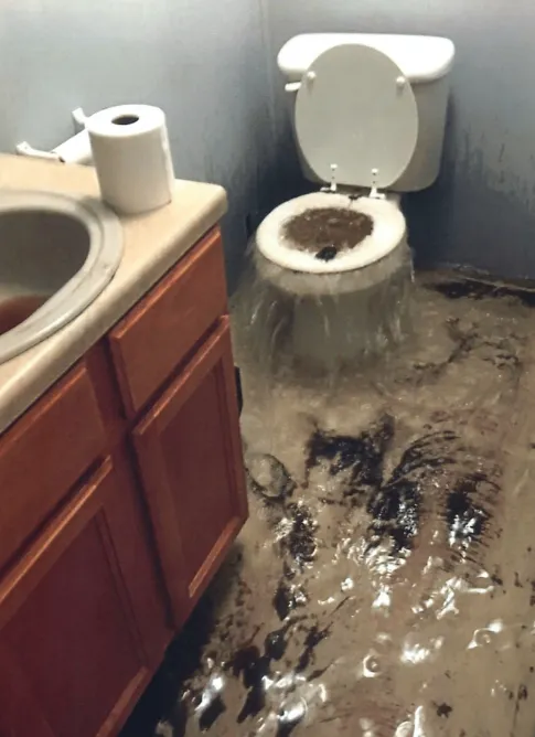 Sewer Lawyers Picture 6