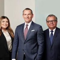 DeLimon Law ico