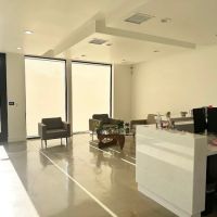 Shegerian & Associates ico