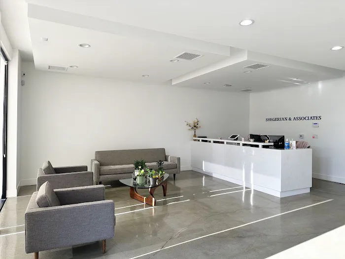 Shegerian & Associates Picture 2