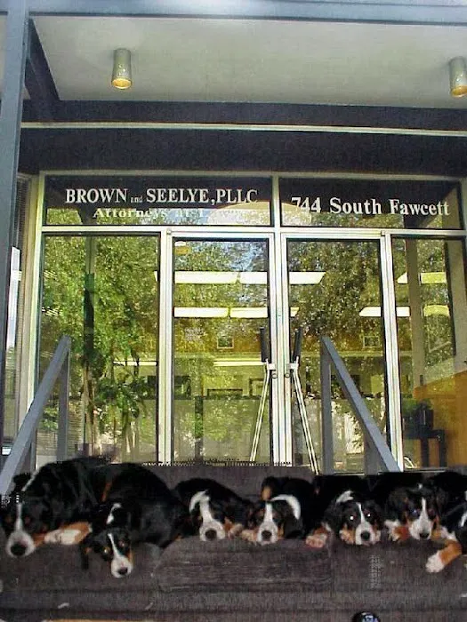 Brown and Seelye Picture 1