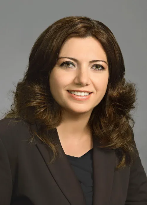 Mirzayan Law, A Professional Law Corporation Picture 1