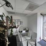 Agora Law Firm