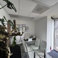 Agora Law Firm ico