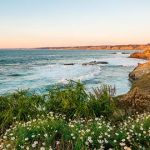 Law Office of Karl H. Knickmeyer