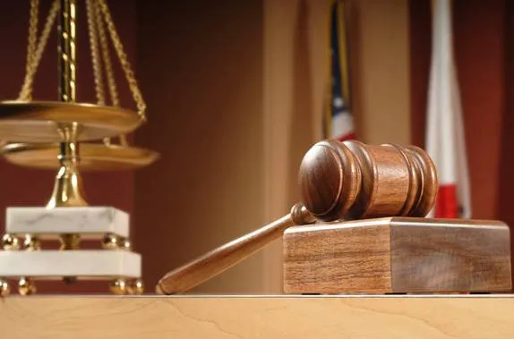 The Law Offices of Michele Cobin Friedlander Picture 1