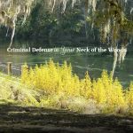 The Law Office of Ryan N. Yadav, LLC