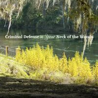 The Law Office of Ryan N. Yadav, LLC ico