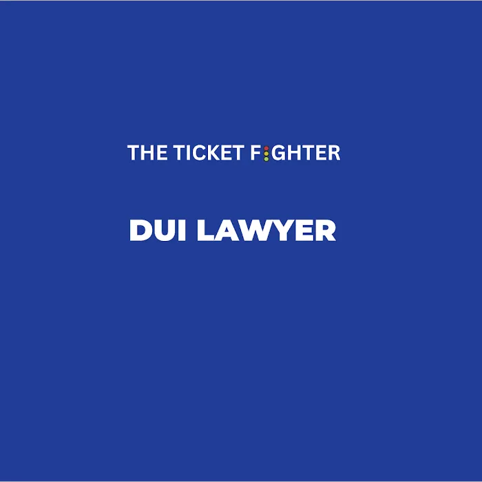 The Ticket Fighter Picture 10
