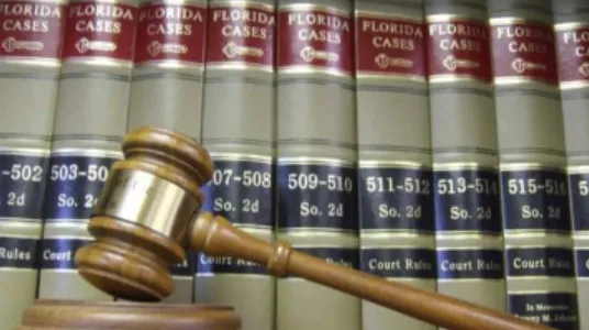 The Elkins Law Firm, P.L. Picture 1