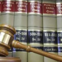 The Elkins Law Firm, P.L. ico
