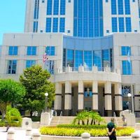The Ladan Law Firm, P.A. ico