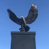 Law office of Mark A Skipper ico