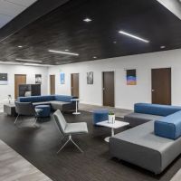 Losey PLLC ico