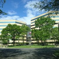 DuPont Law Group ico