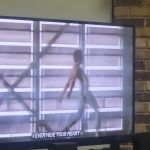 Bacon Kevin