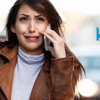 Law Dog - Criminal Defense Attorneys ico