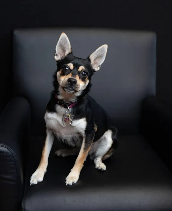 Einstein & Gibson LLC. Picture 1